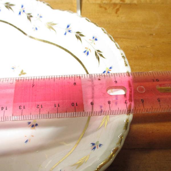 Derby Shrimp Server Plate 1800-1820's Angouleme or Pinxton Sprig