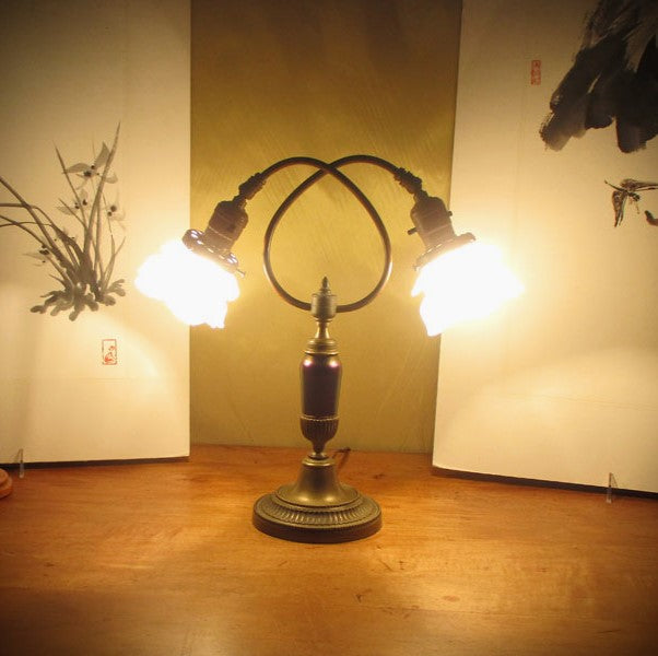 Antique French Double Goose Neck Art Glass and Bronze Lamp